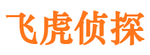 滨城调查事务所